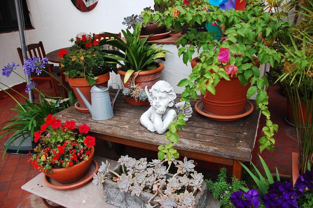 Apartamento The Patio